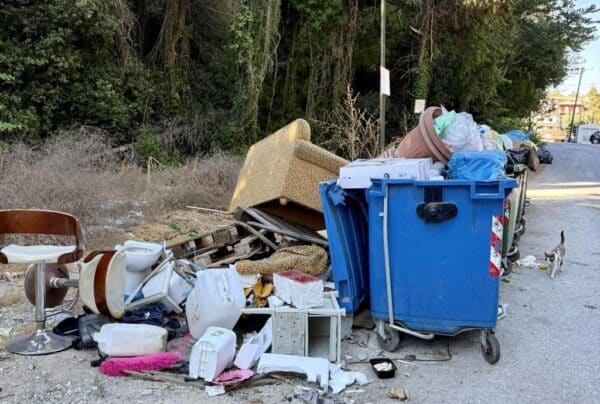 garbage8